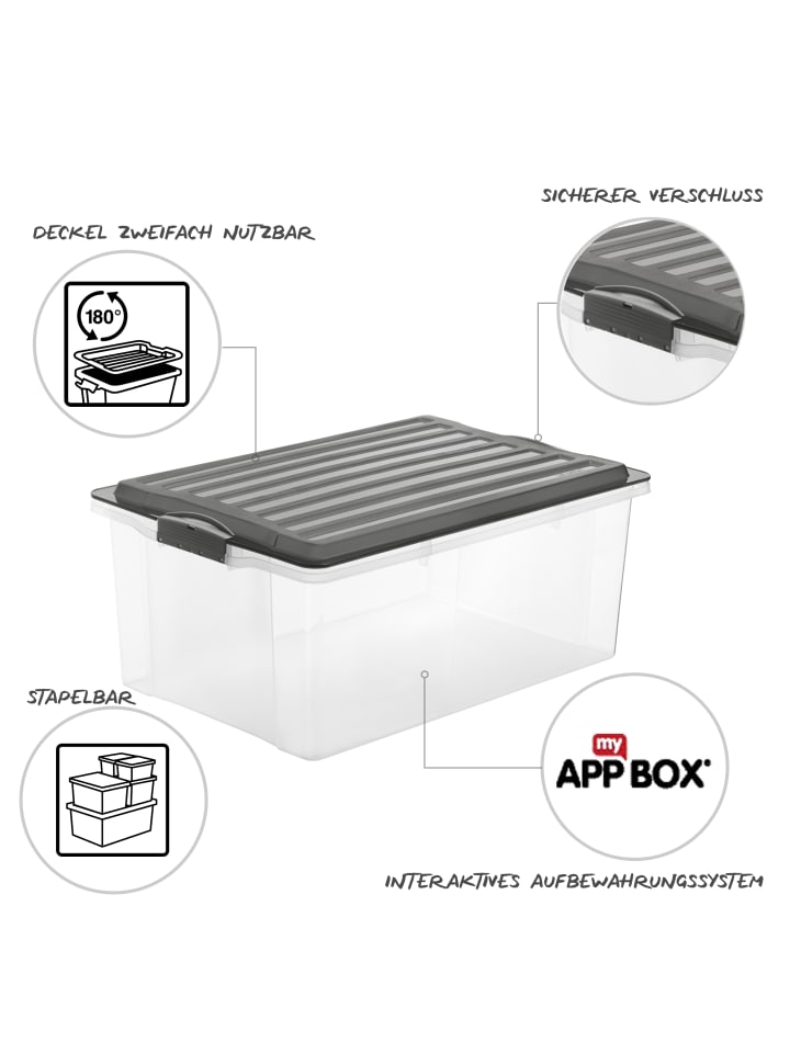 Rotho Compact 3er-Set Aufbewahrungsbox 38l mit Deckel in Anthrazit günstig kaufen onesize
