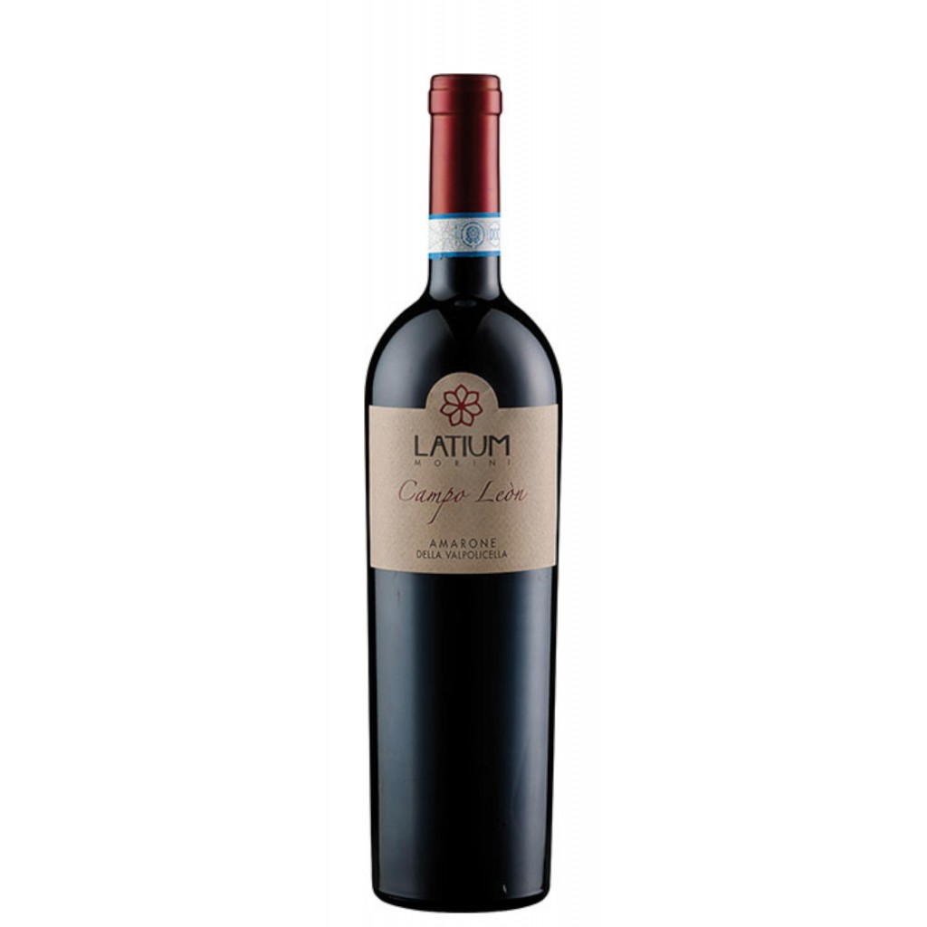 2017 Amarone della Valpolicella 'Campo Leòn' trocken