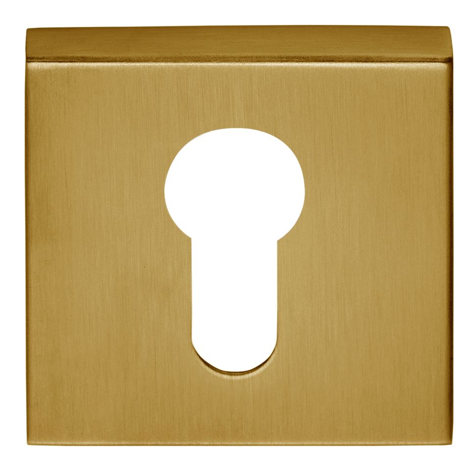 Formani 1501Y060IMXX0 BASICS BSQY53 firkantet cylinderplade PVD mat guld