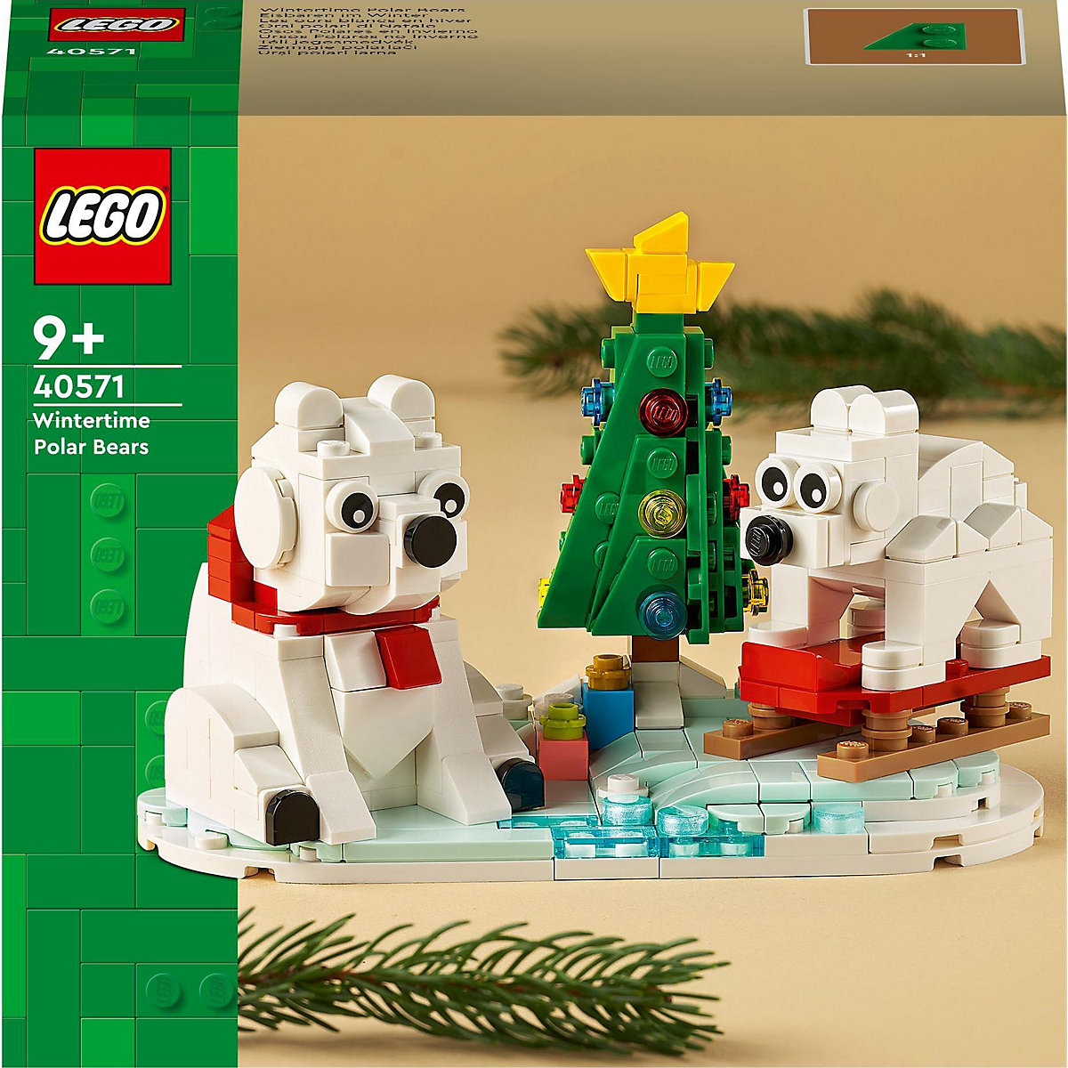 40571 Eisbären im Winter