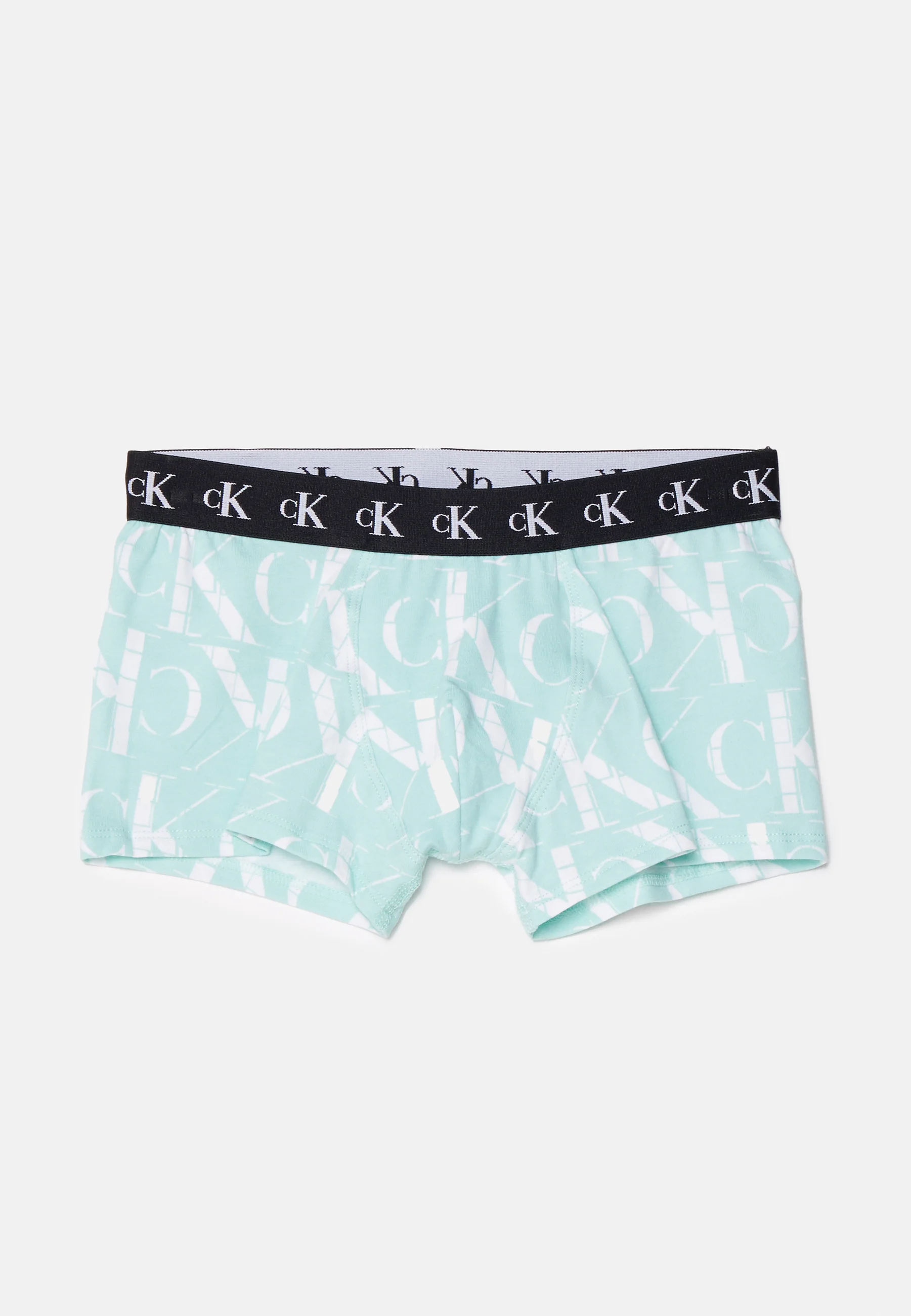 Calvin Klein Underwear TRUNK PACK DE 2 - Culotte