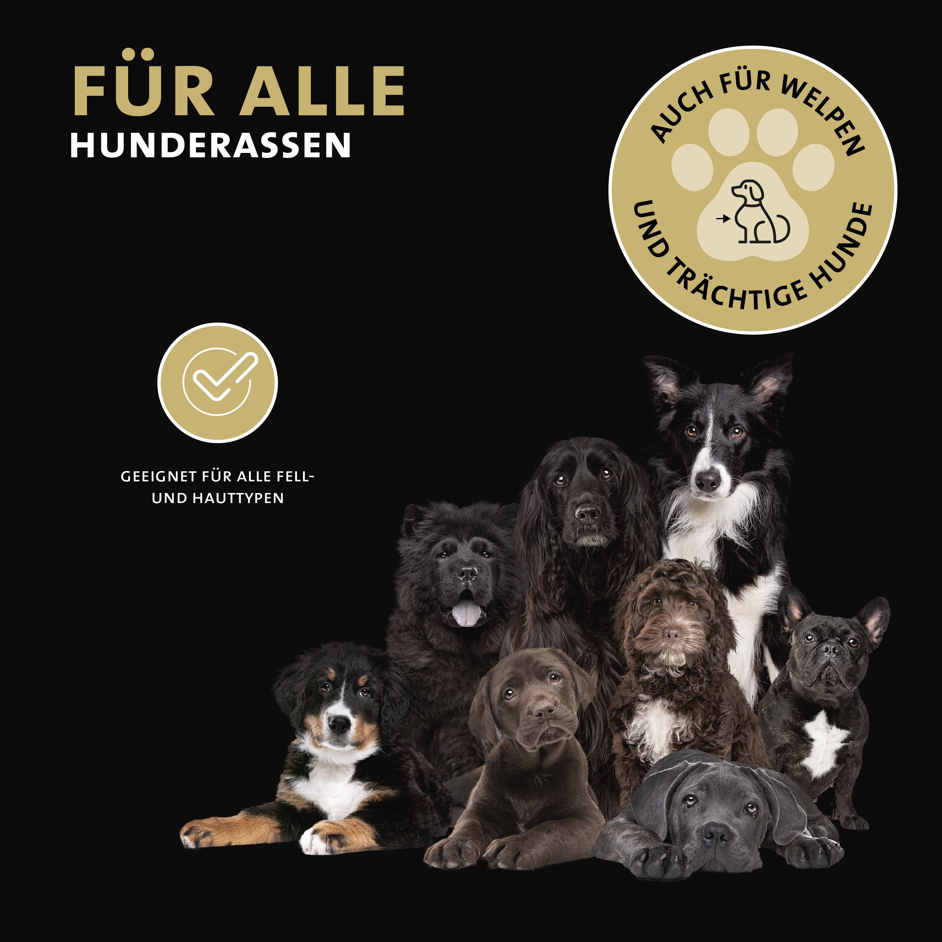 Peticare Tiershampoo petDog Health 2104 - Parasiten, Juckreiz Shampoo für Hunde, 250 ml, bei Juckreiz, Pilz & Milben, Flohbefall, beruhigt u. schützt die Haut