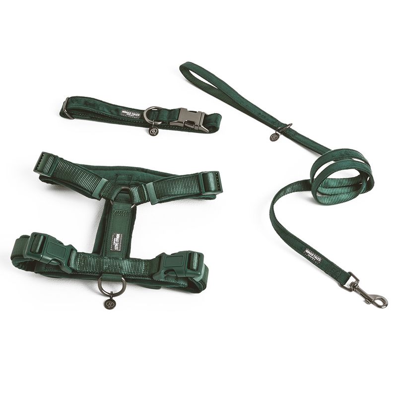 Nomad Tales Blush Hundeleine, Emerald zu TOP-Preisen | bitiba