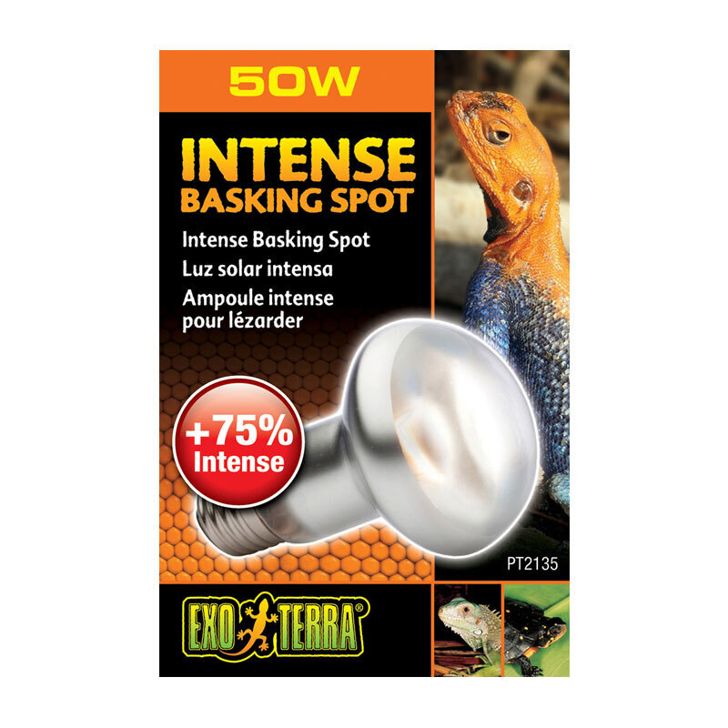 Exo Terra Beleuchtung Exo Terra Intense Basking Spot 50 W