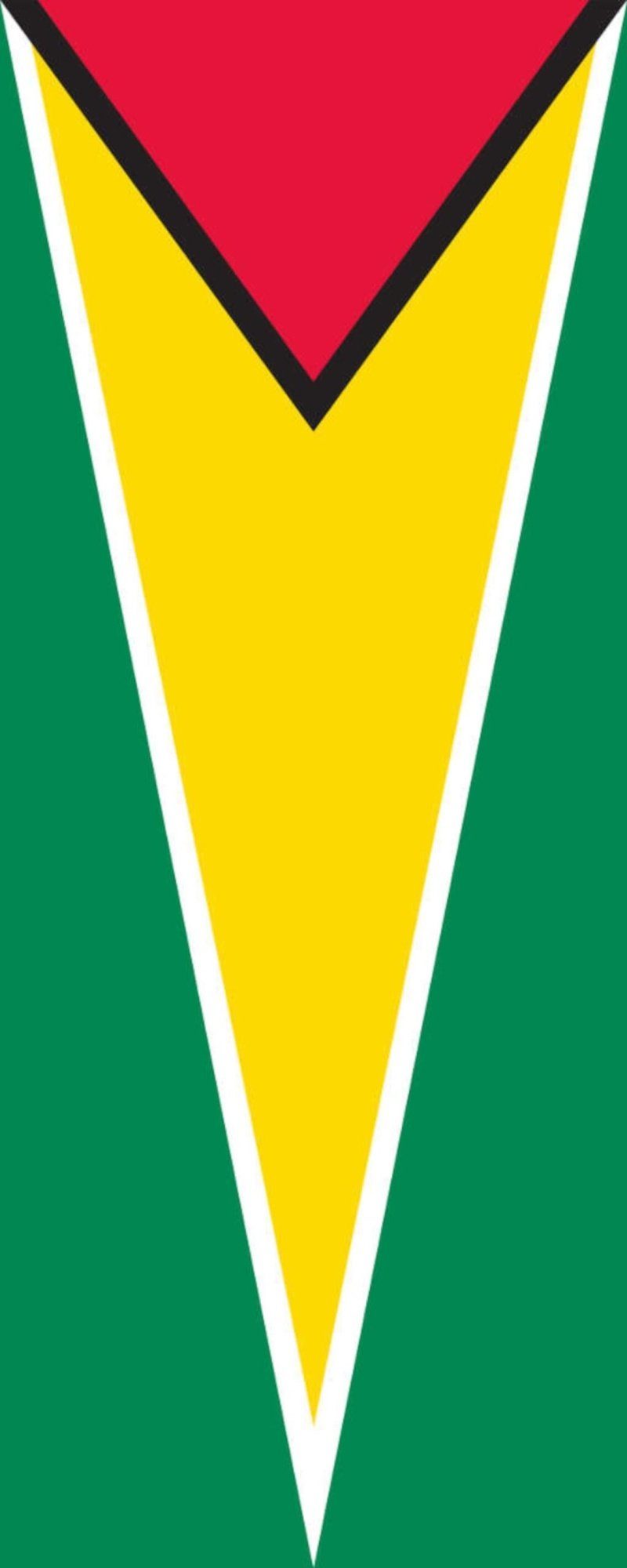 flaggenmeer Flagge Flagge Guyana 110 g/m² Hochformat