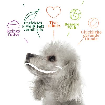 Yarrah Dog Bio Chunks Vega