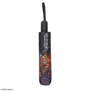 Masters of the Universe Regenschirm He-man