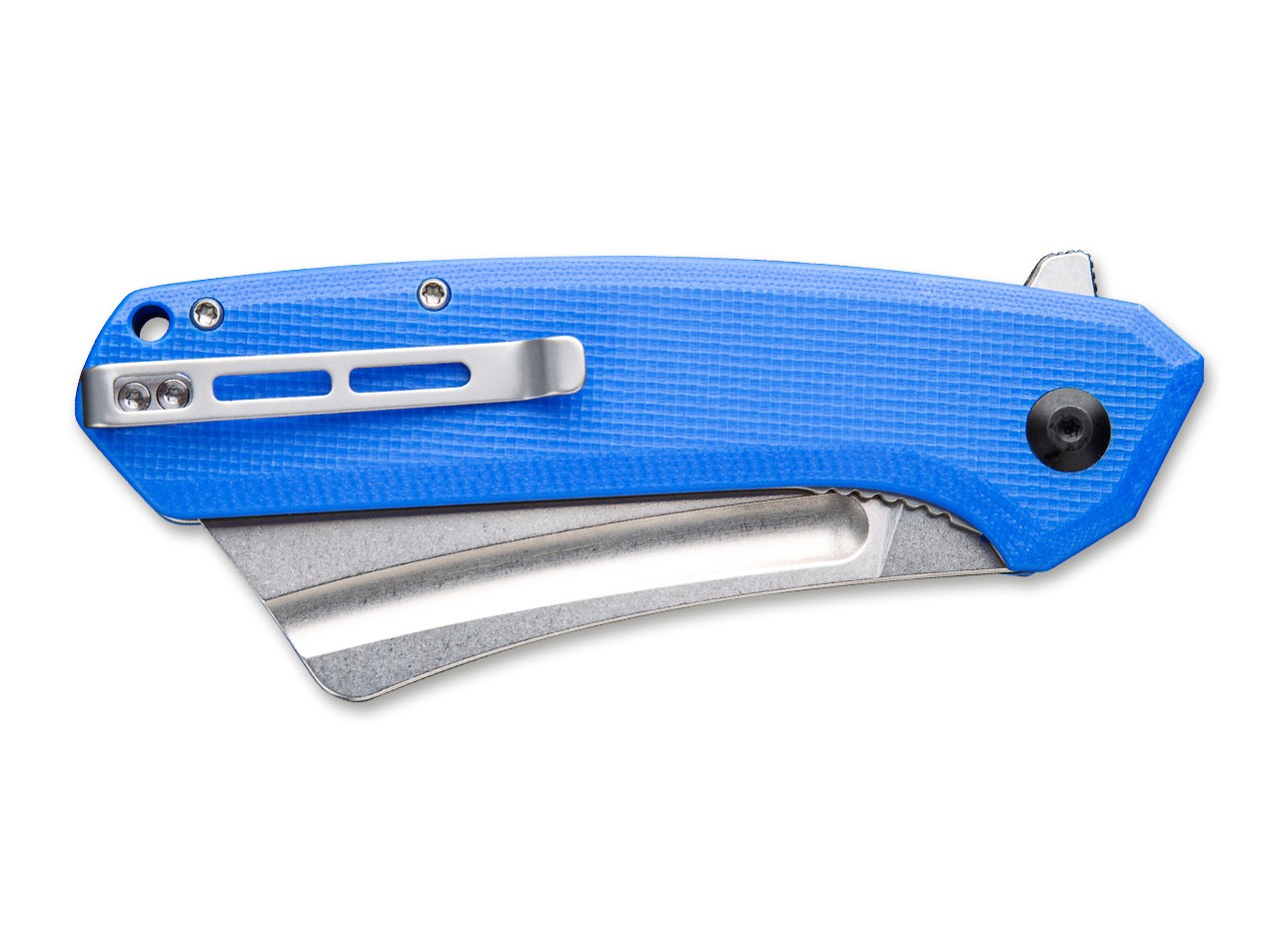 Bullmastiff G10 Blue