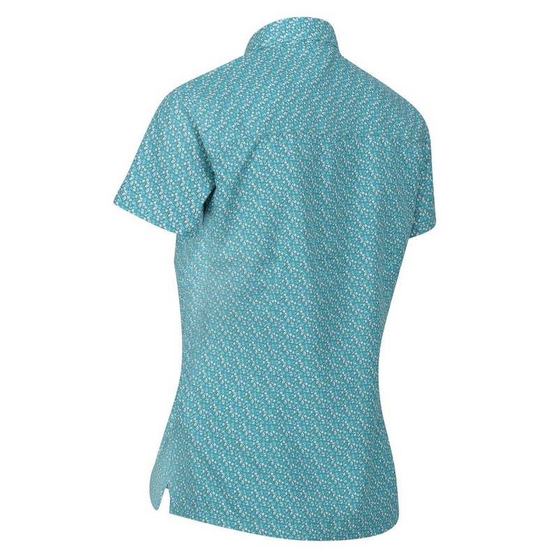 Regatta Mindano VII Funktionsbluse Damen
