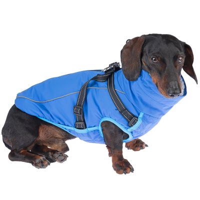 TIAKI Hundemantel mit Geschirr Arkon, blau