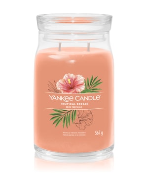 Yankee Candle Tropical Breeze Duftkerze-368 g