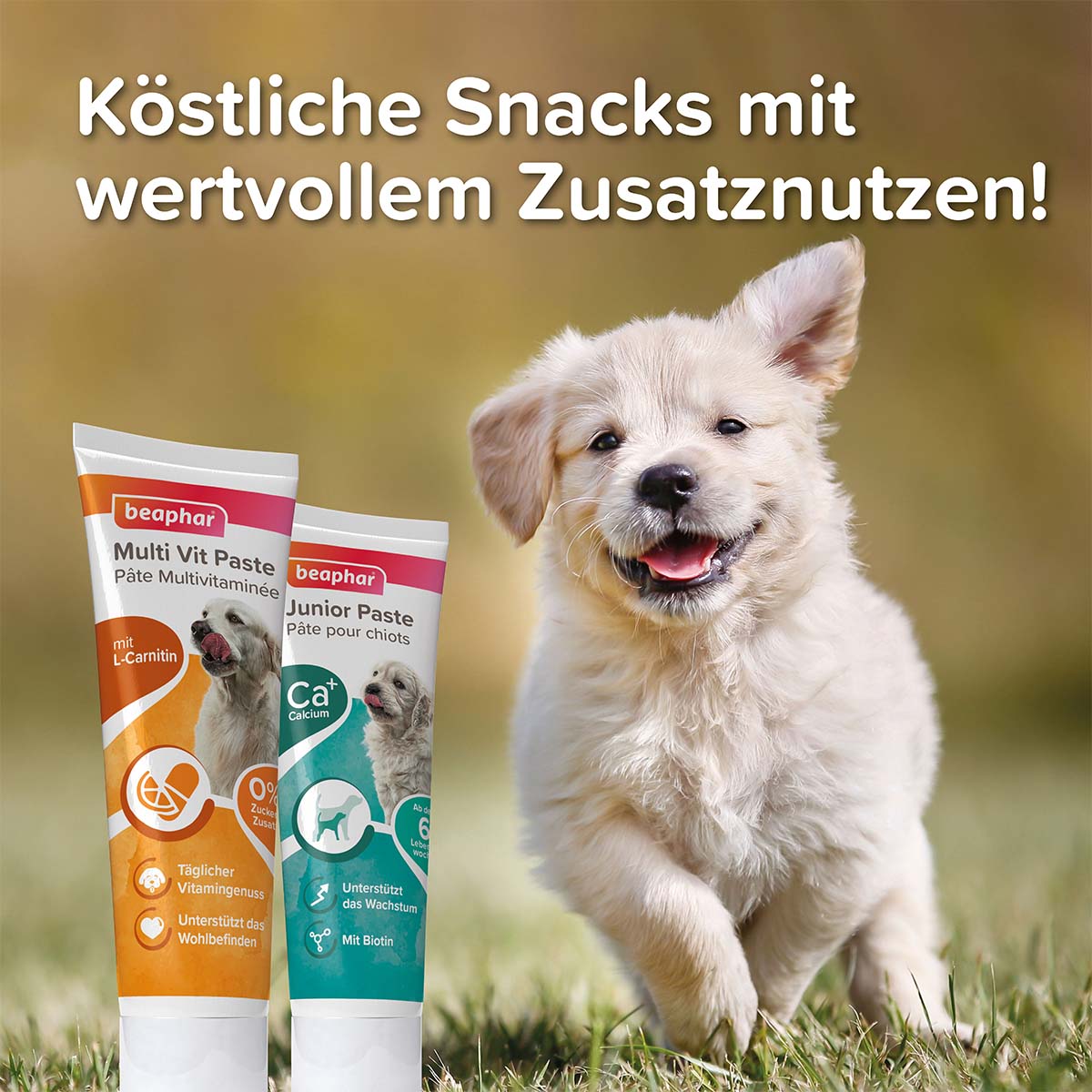 beaphar Junior-Paste für Hunde 100g günstig kaufen bei ZooRoyal