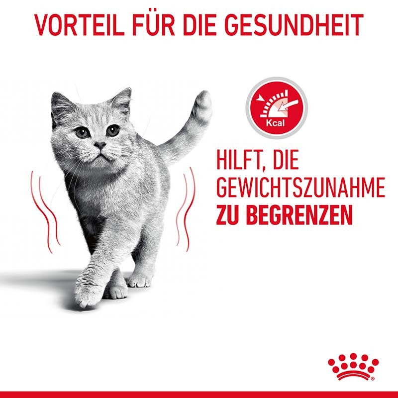 ROYAL CANIN Nassfutter ROYAL CANIN Light Weight Care 12x85g in Gelee