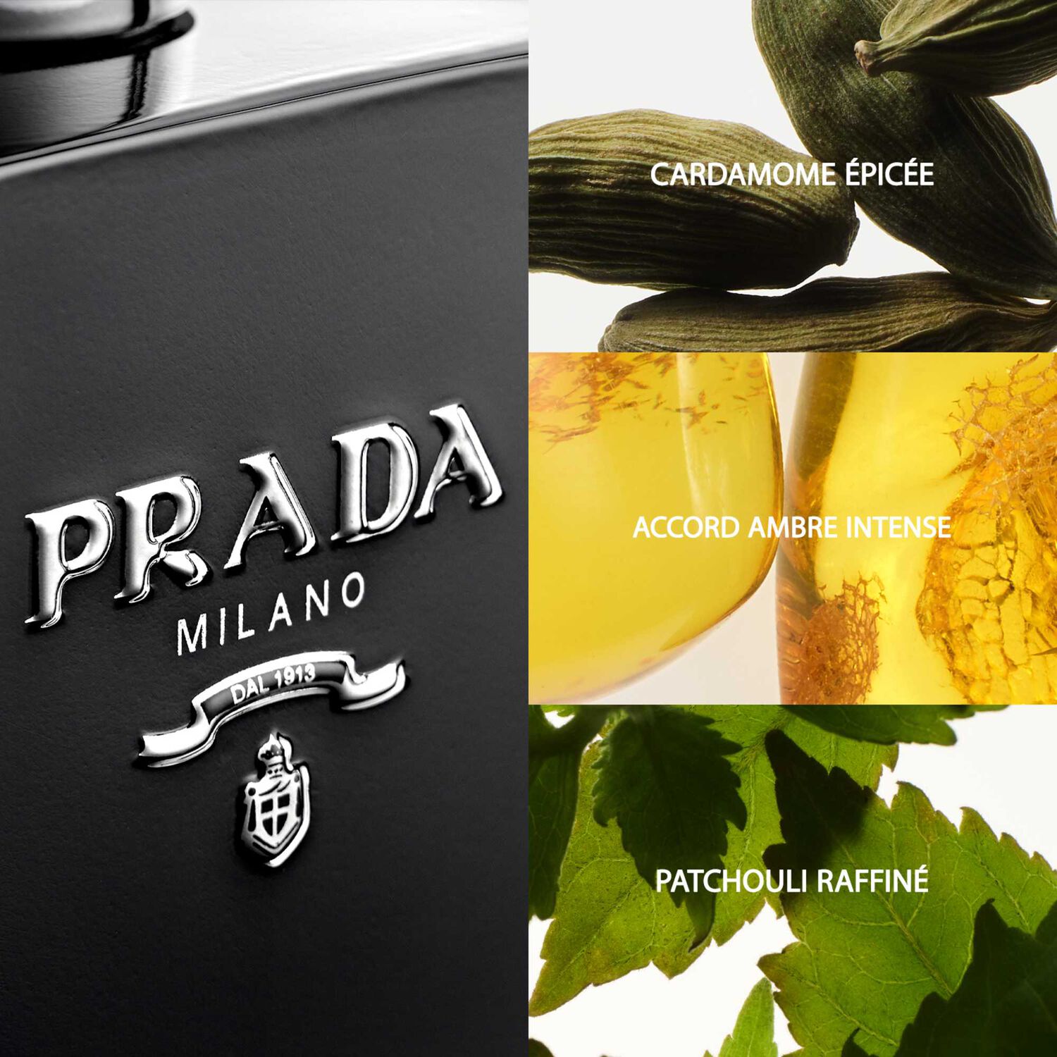 Prada L'Homme Prada Eau de Parfum Intense