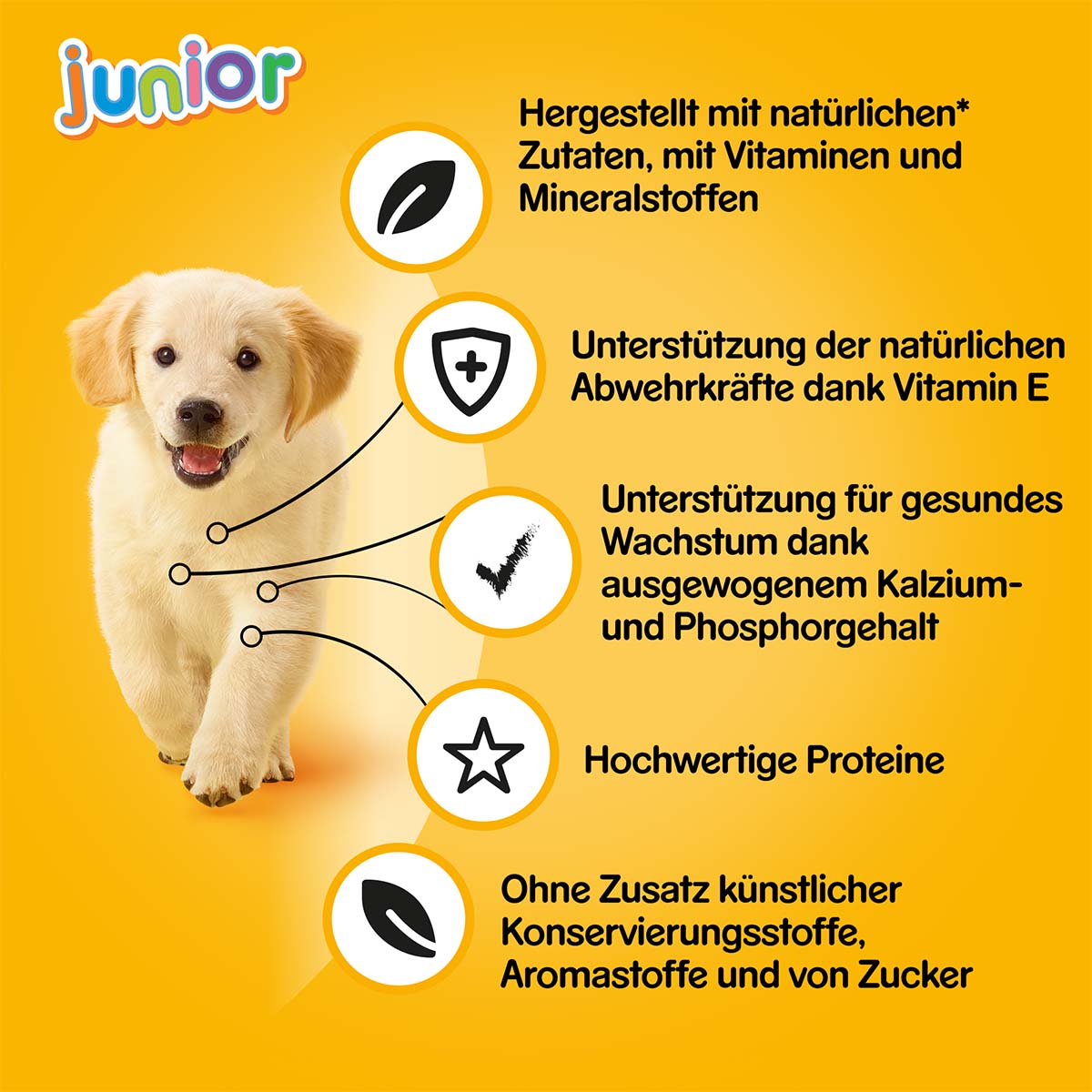 Pedigree Junior mit Geflügel günstig kaufen bei ZooRoyal