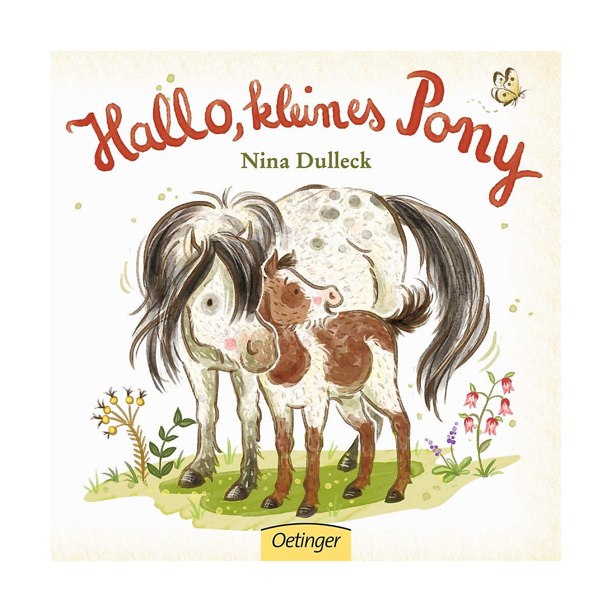 Hallo, kleines Pony!