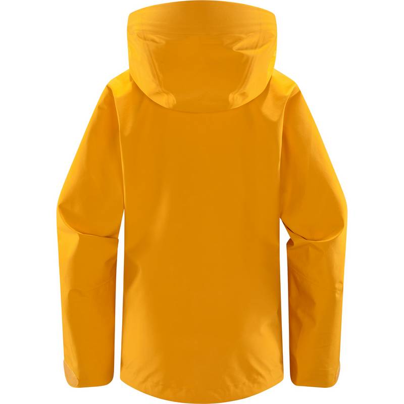 Haglöfs Roc GTX Jacket Hardshelljacke Damen