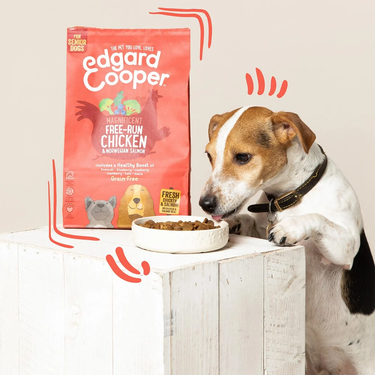 Edgard & Cooper Senior Frisches Huhn & Lachs kaufen bei ZooRoyal