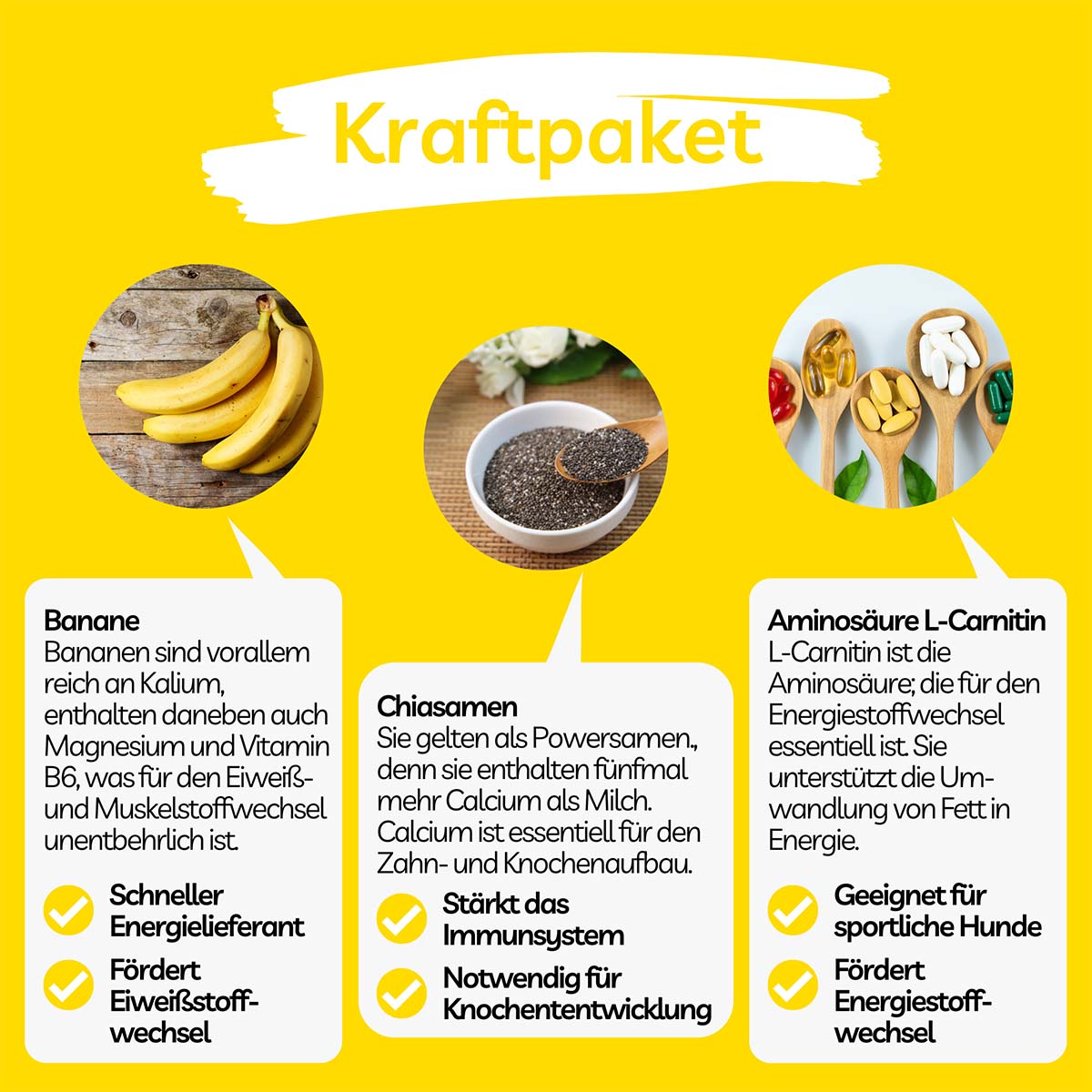 BugMischung Adult gelb Banane & Chiasamen kaufen bei ZooRoyal