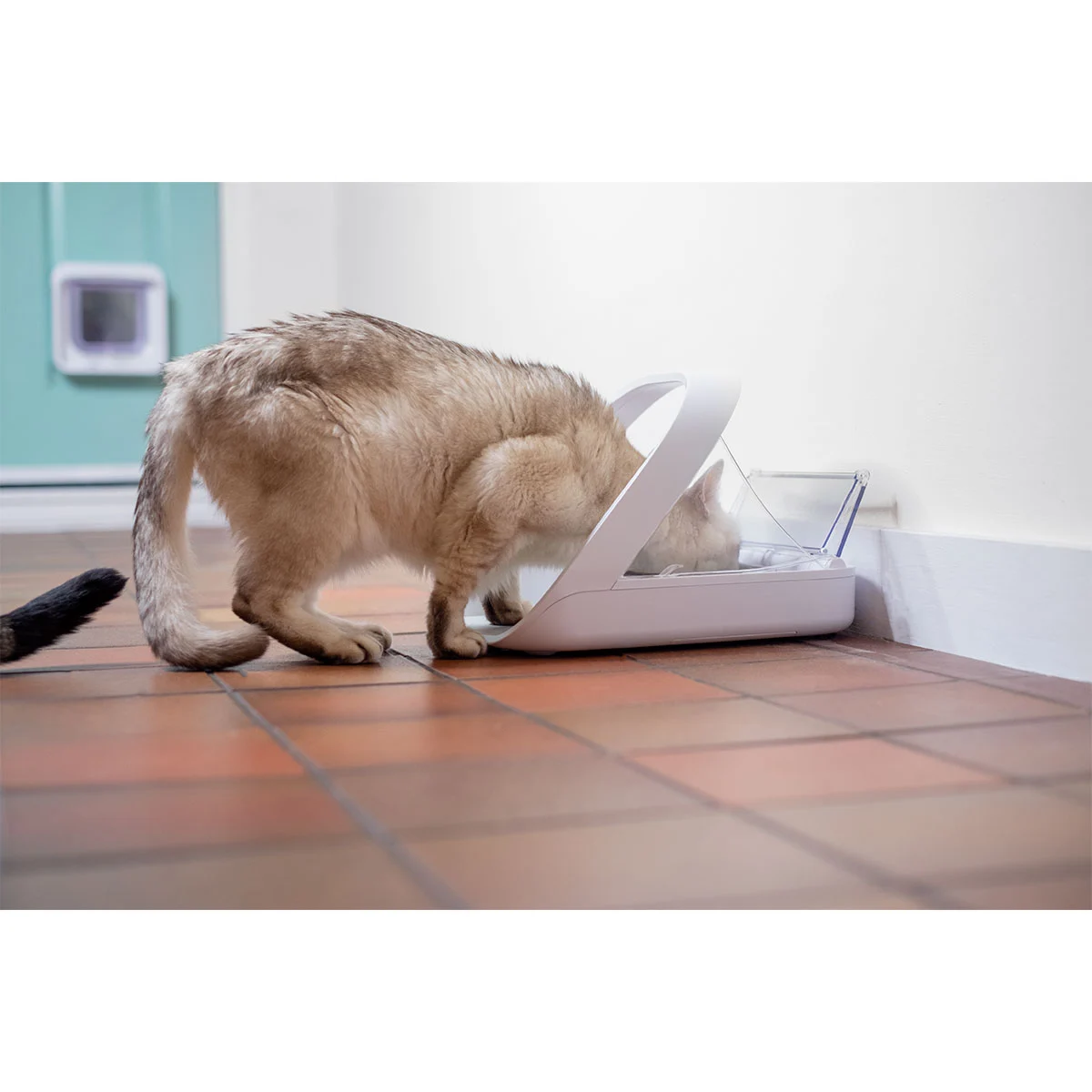 Sure Petcare SureFeed Mikrochip Futterautomat Connect