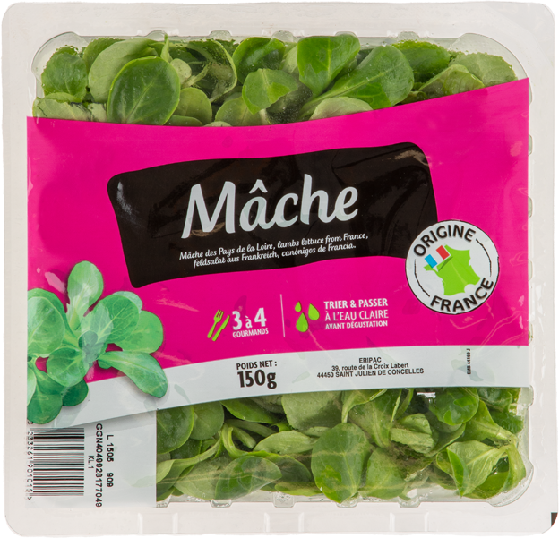 Feldsalat
