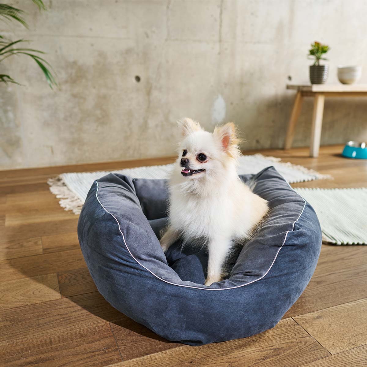 ZooRoyal Hundebett Balou günstig kaufen