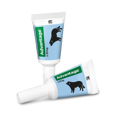 Advantage® 400 für Hunde, ab 25 kg