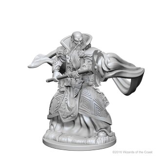 Human Male Wizard: D&D Nolzurs Marvelous Unpainted Minis