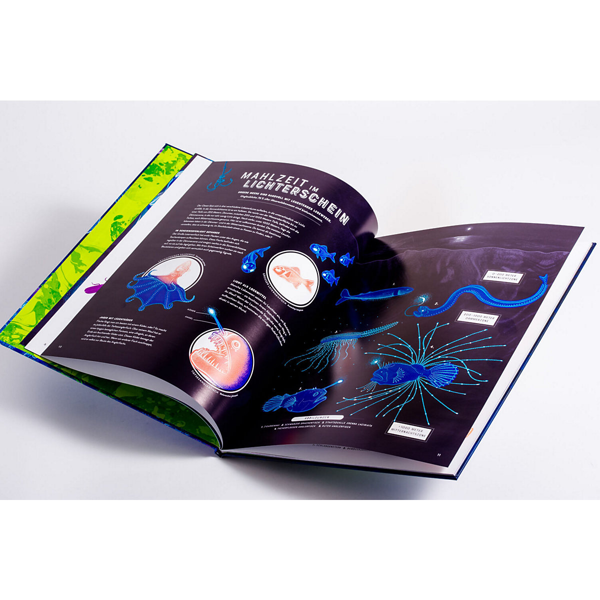Glow - Das wundersame Leuchten der Natur