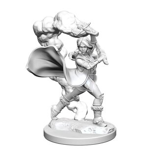 Human Female Cleric: Pathfinder Deep Cuts Unpainted Minis