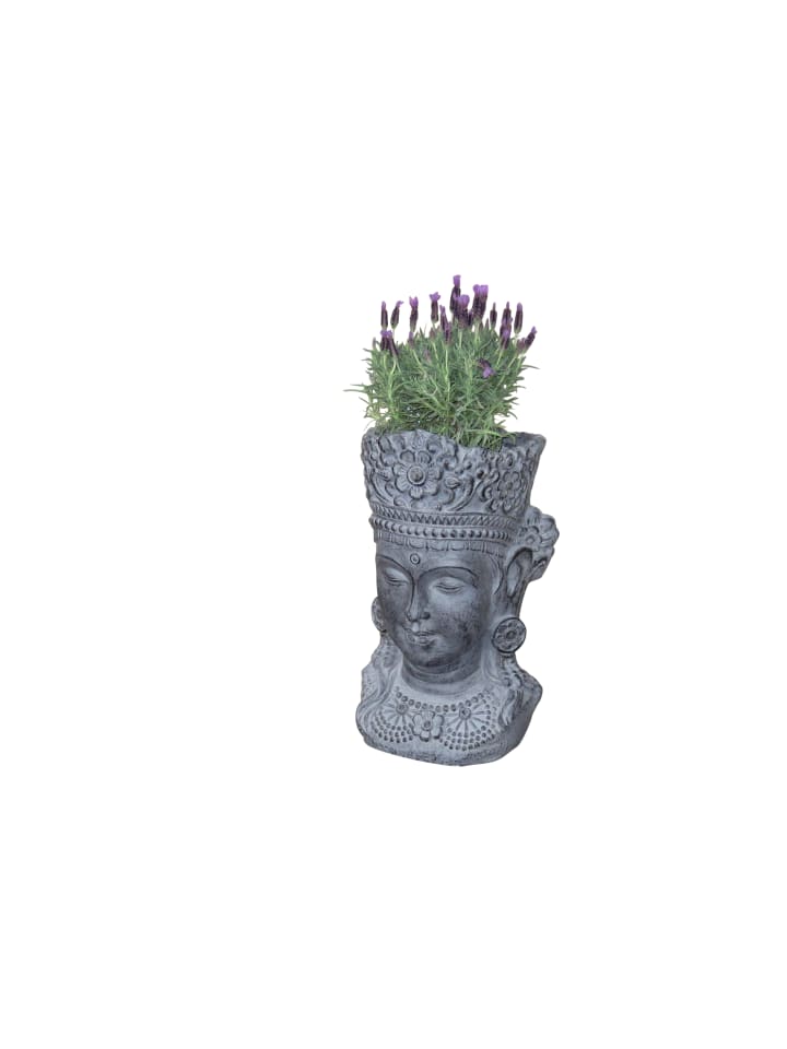 möbel-direkt Pflanzgefäß Buddhakopf in grau günstig kaufen 1 Stück