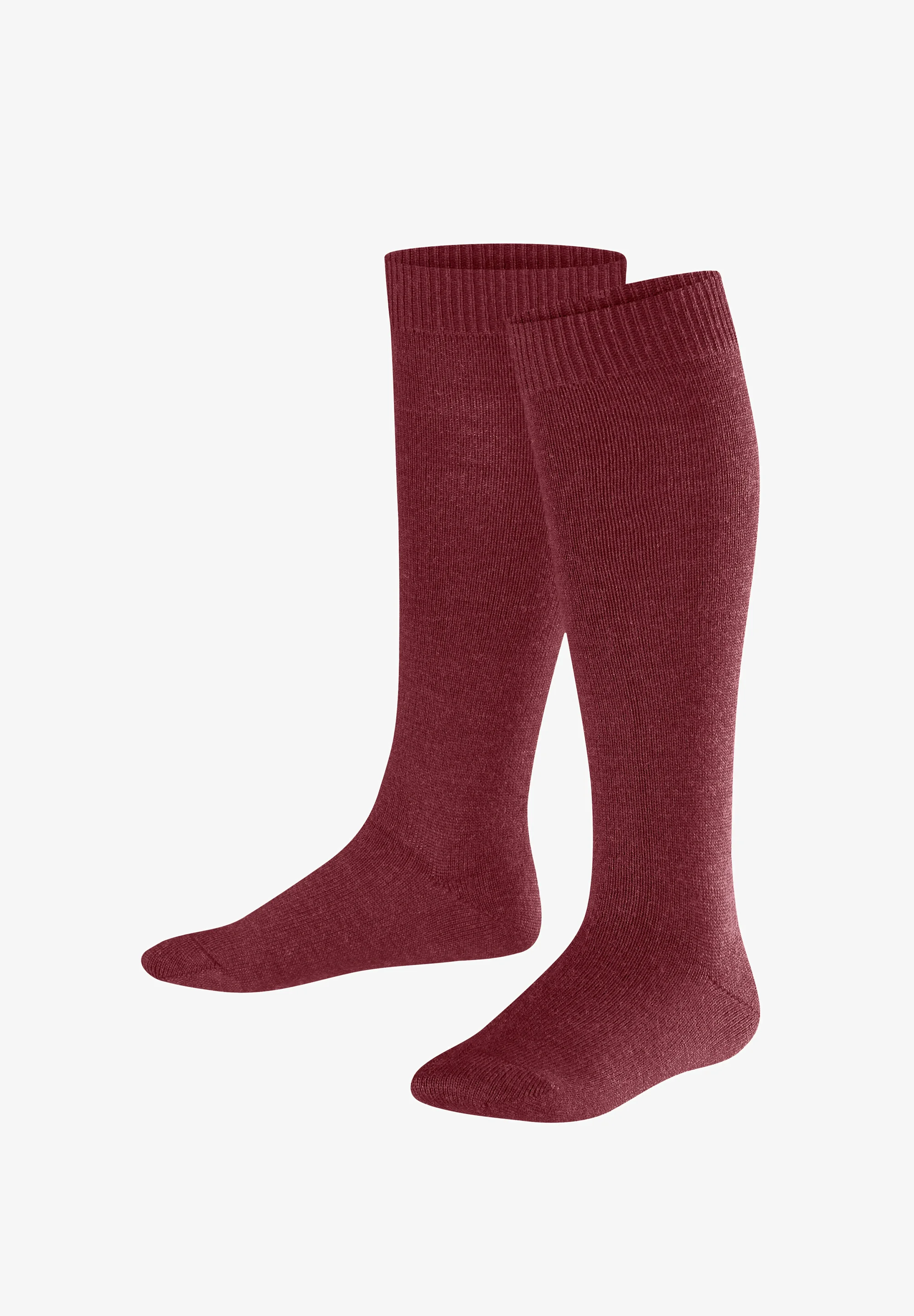 Calcetines cálidos hasta la rodilla de lana FALKE Comfort