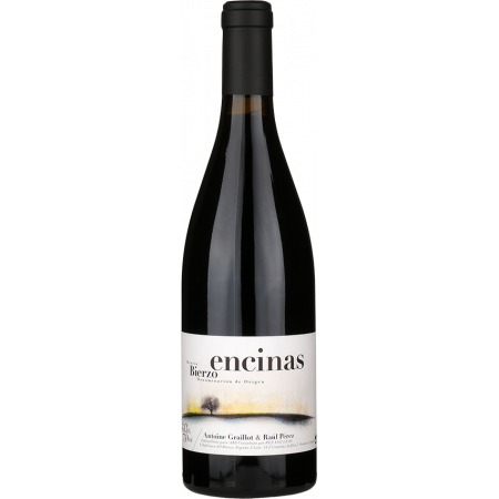 ENCINAS 2020 - ANTOINE GRAILLOT & RAUL PEREZ