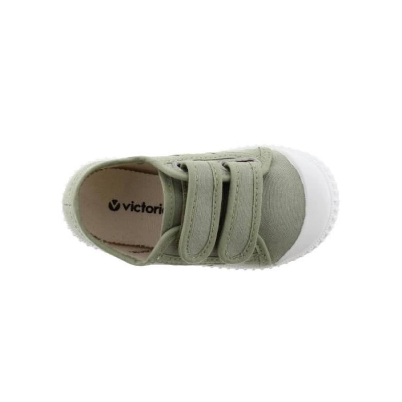 VICTORIA, 136606, Aloe vert