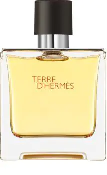 Hermes Terre d'Hermes Eau de Toilette til mænd