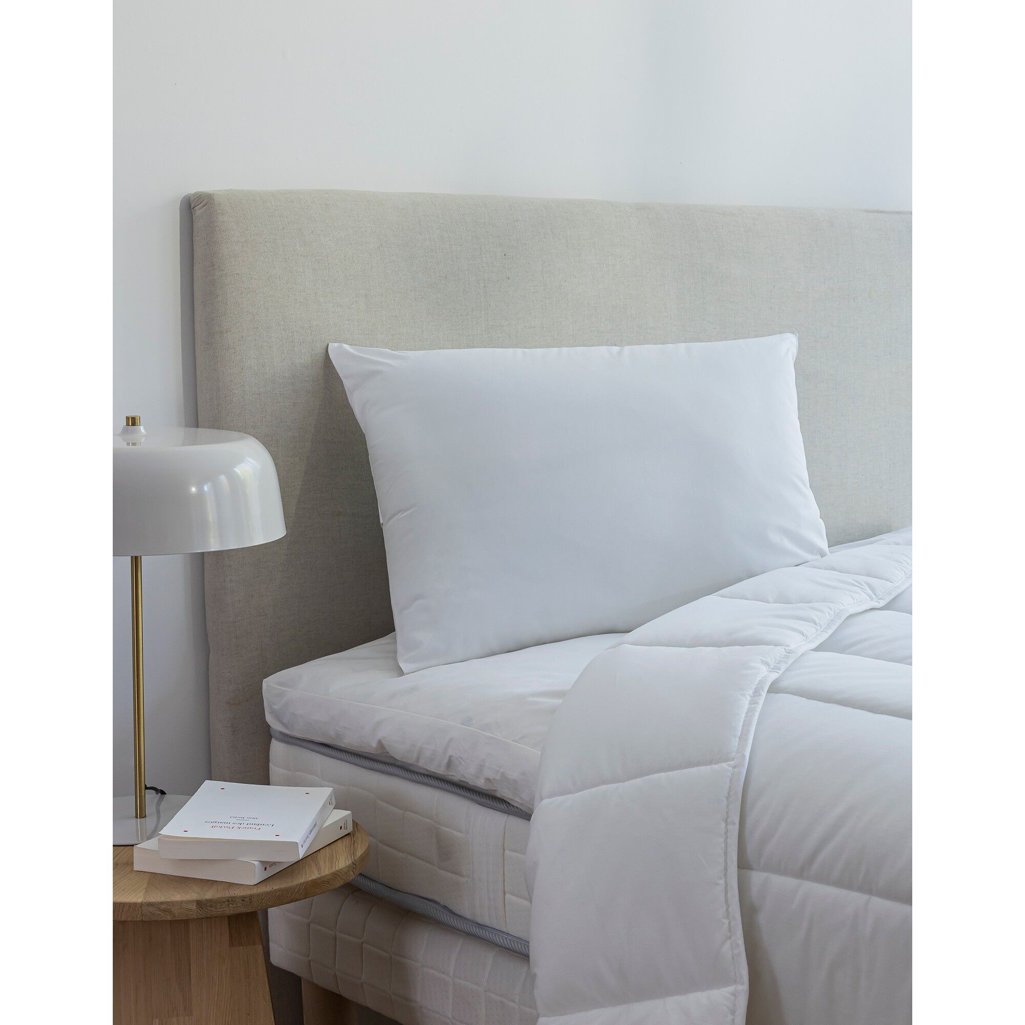 Oreiller anti-acariens Proneem ferme