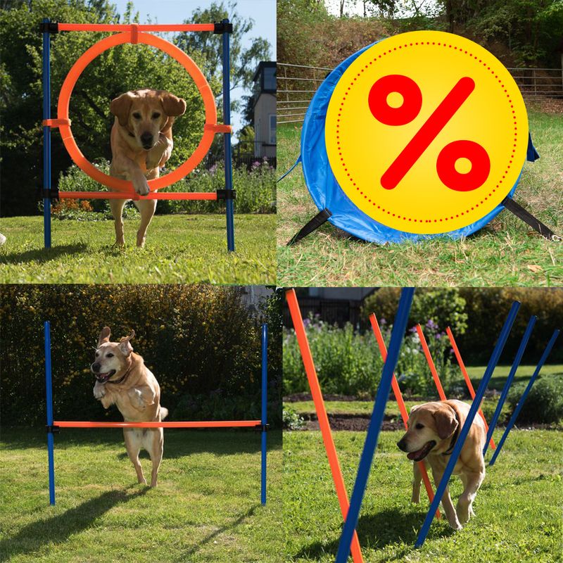 Agility Fun & Sport Komplett-Set zu TOP-Preisen