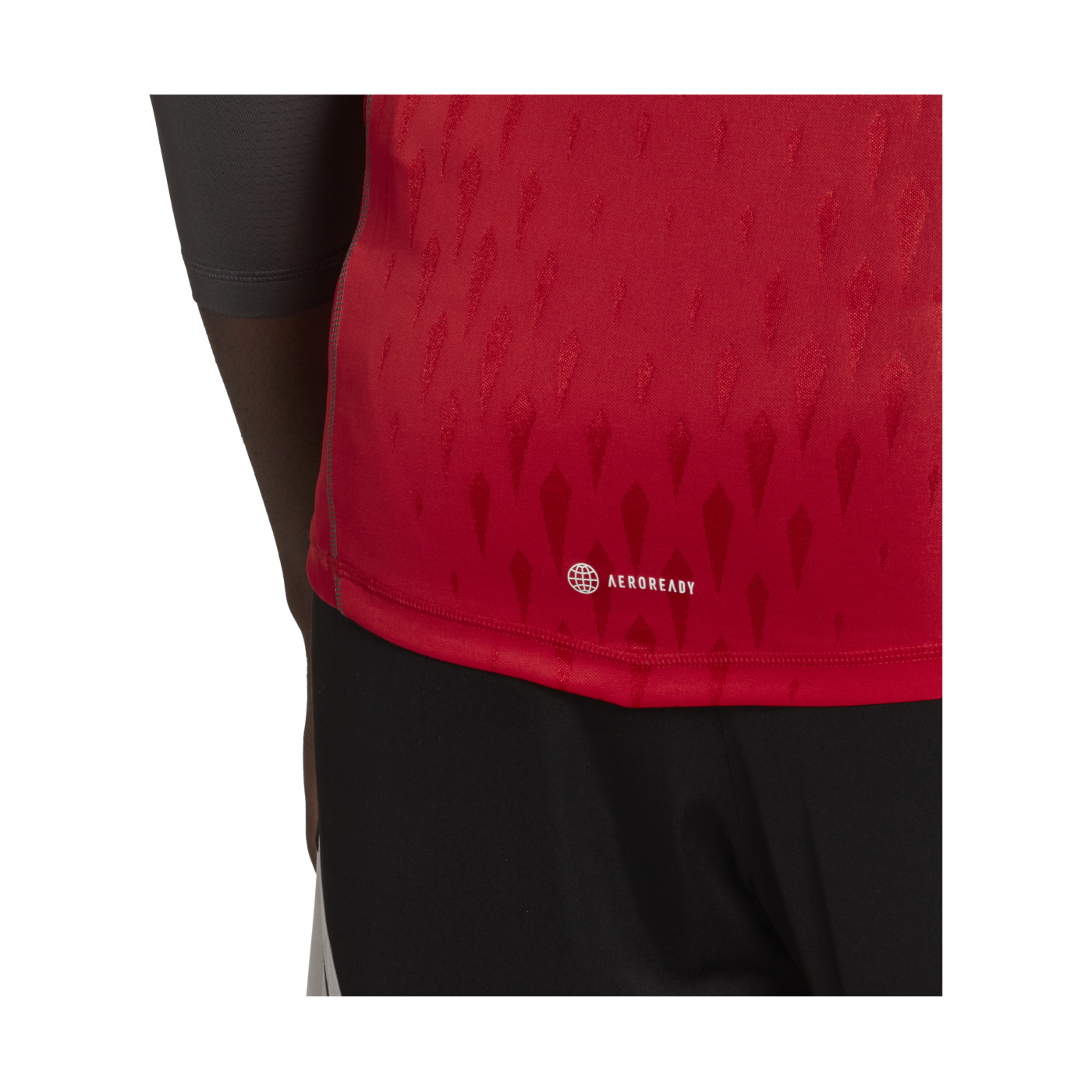 adidas Tiro 23 Pro Torwarttrikot langarm Rot