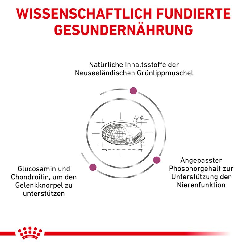 Royal Canin Veterinary Feline Mobility zu TOP-Preisen | bitiba %