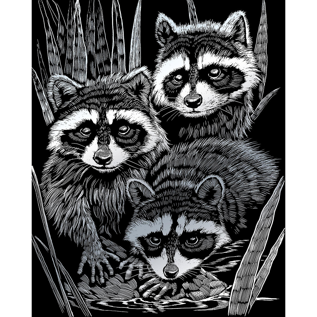 Kratzbild Waschbären 20x25cm silber