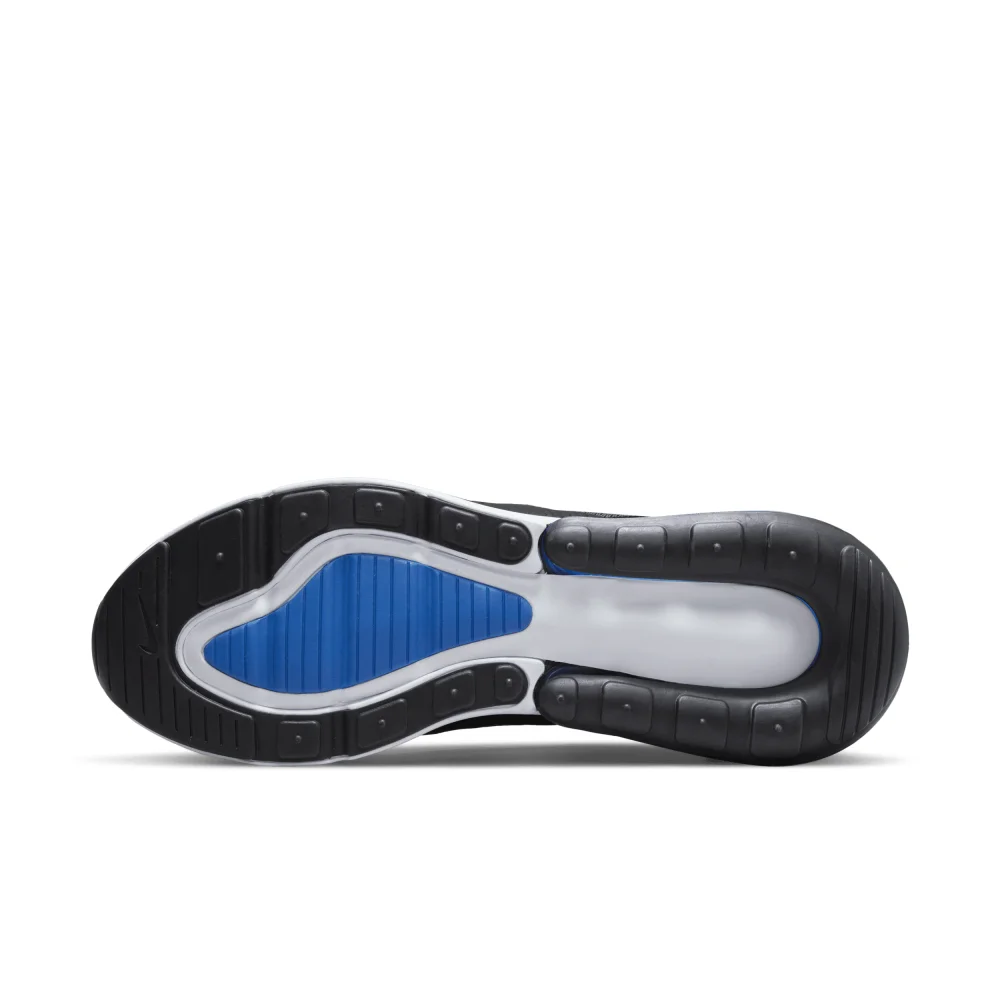 Nike Air Max 270 DV6494-001 / grau