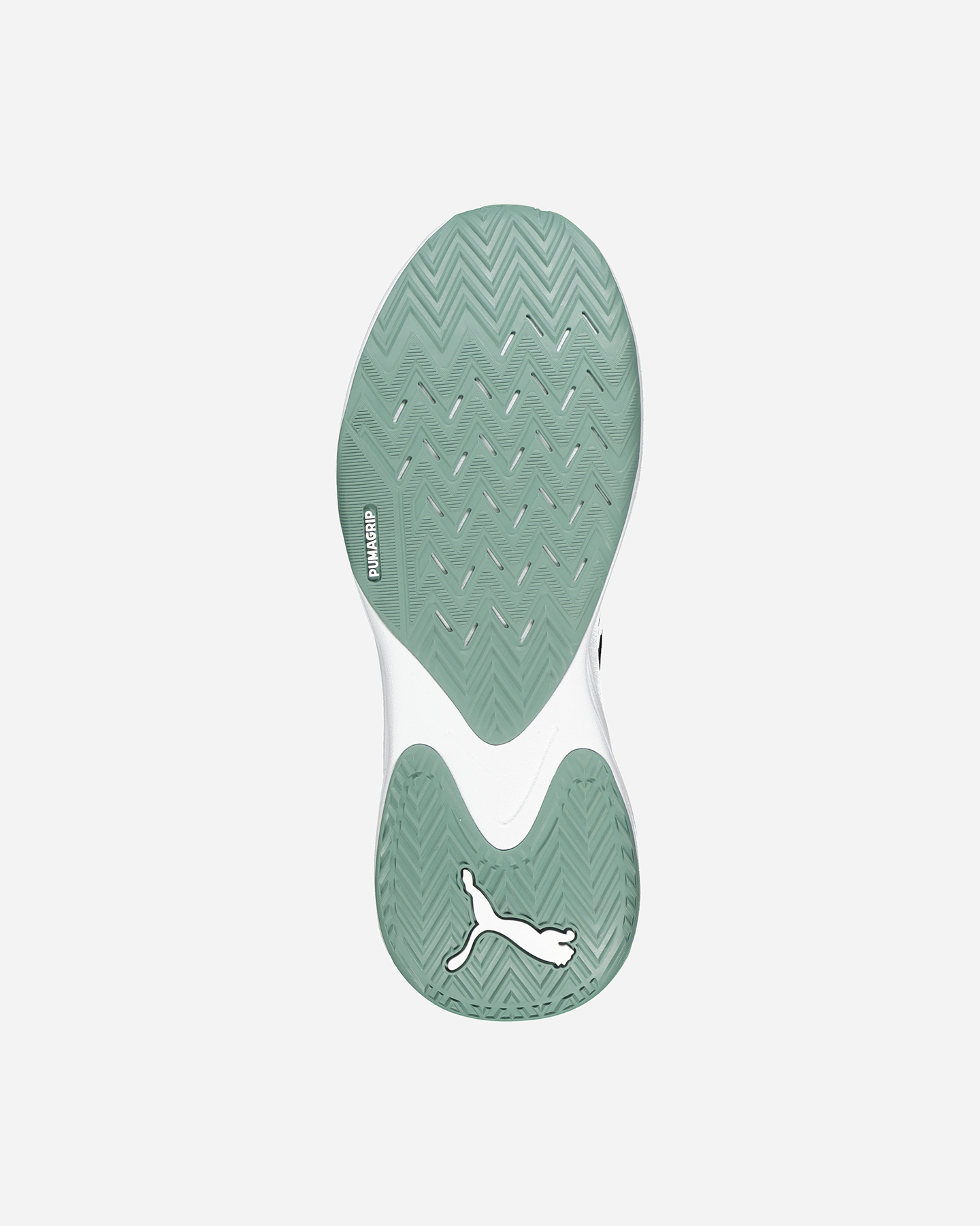 Träningsskor Puma Pwr Hybrid Tr M 310282-04