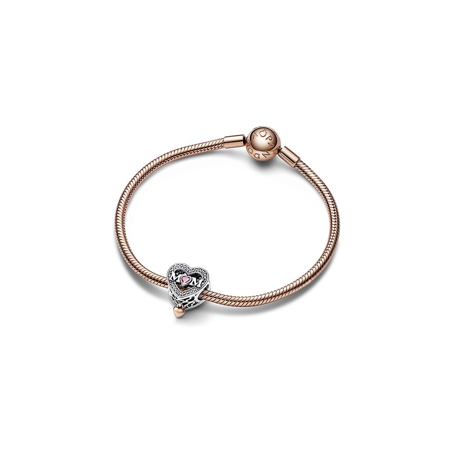 Pandora Charm Moments