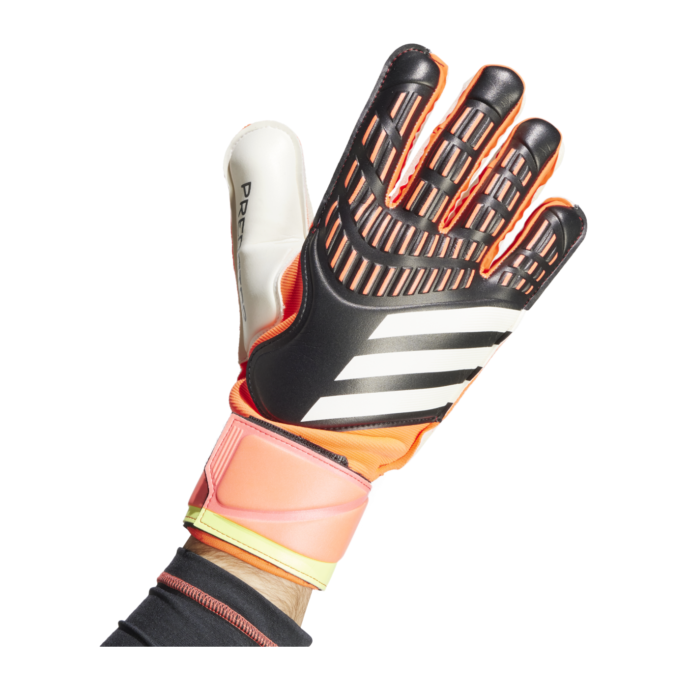 adidas Predator Match Torwarthandschuhe