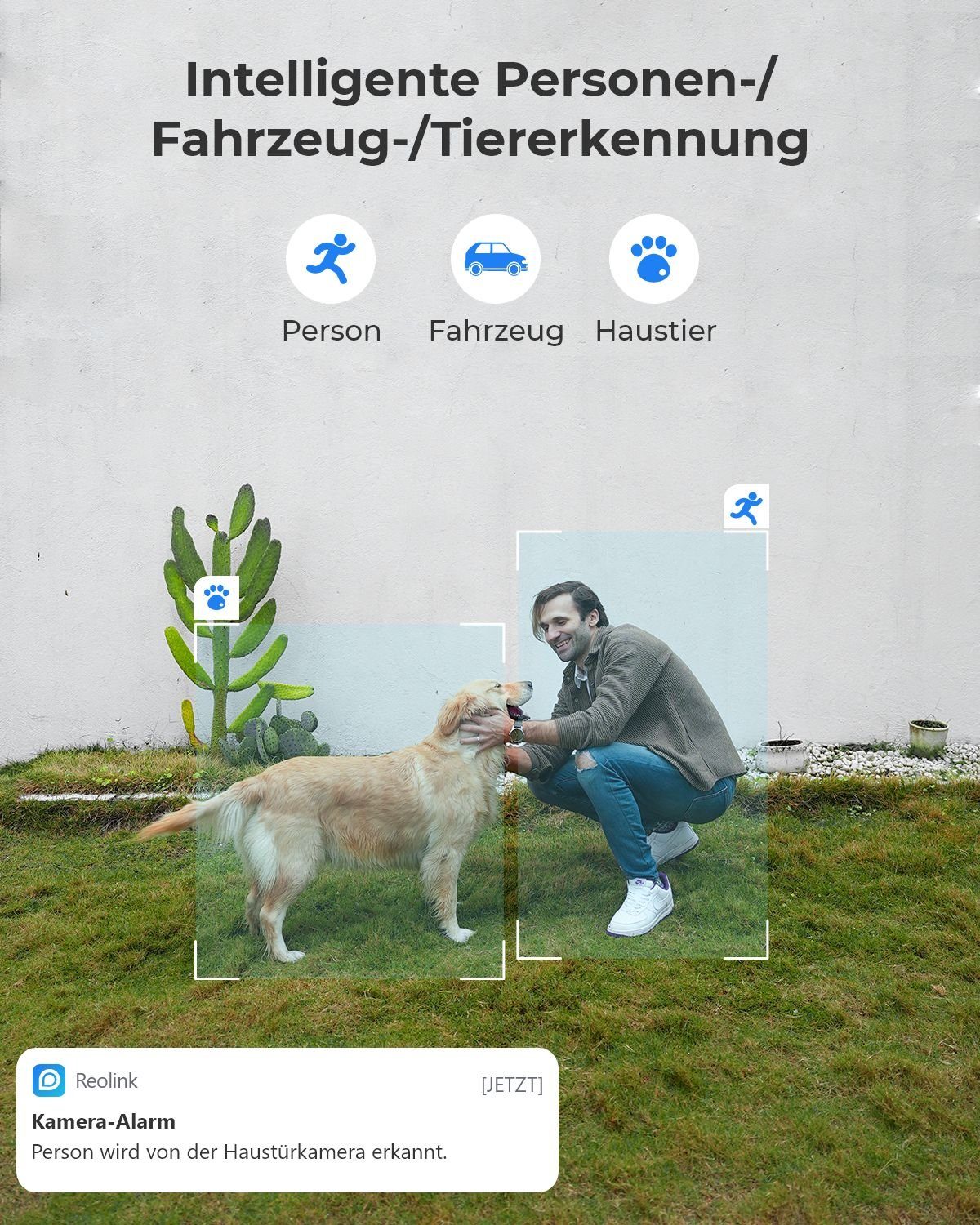 Reolink 4K Intelligente Dual-Objektiv PoE P330M Überwachungskamera (Außenbereich, Farbnachtsicht, Weitwinkel- und Nahansicht, Personen-/Fahrzeugerkennung)