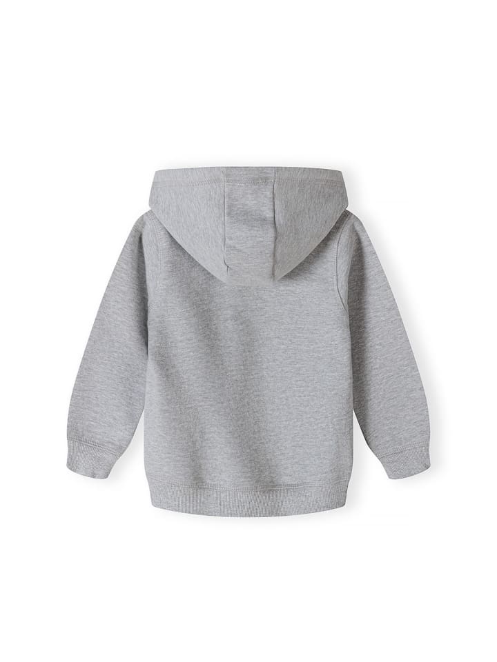 Minoti 3tlg. Outfit: Longsleeves & Hose Fly 7 in grau günstig kaufen