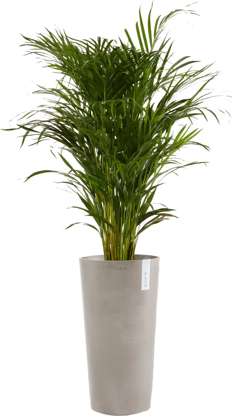 ECOPOTS Blumentopf AMSTERDAM HIGH Taupe, BxTxH: 41x41x76 cm