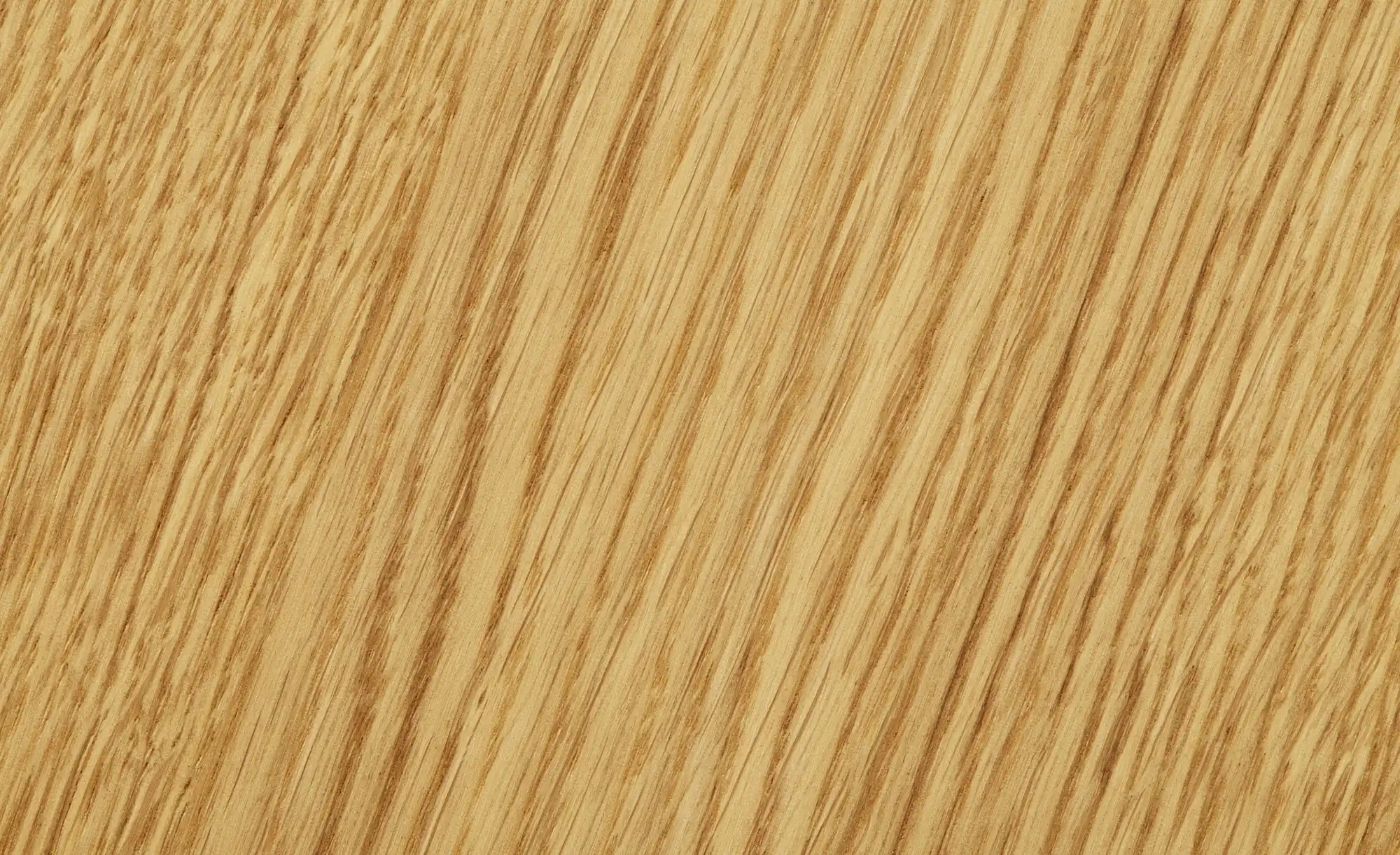 Wohnwert Hochschrank