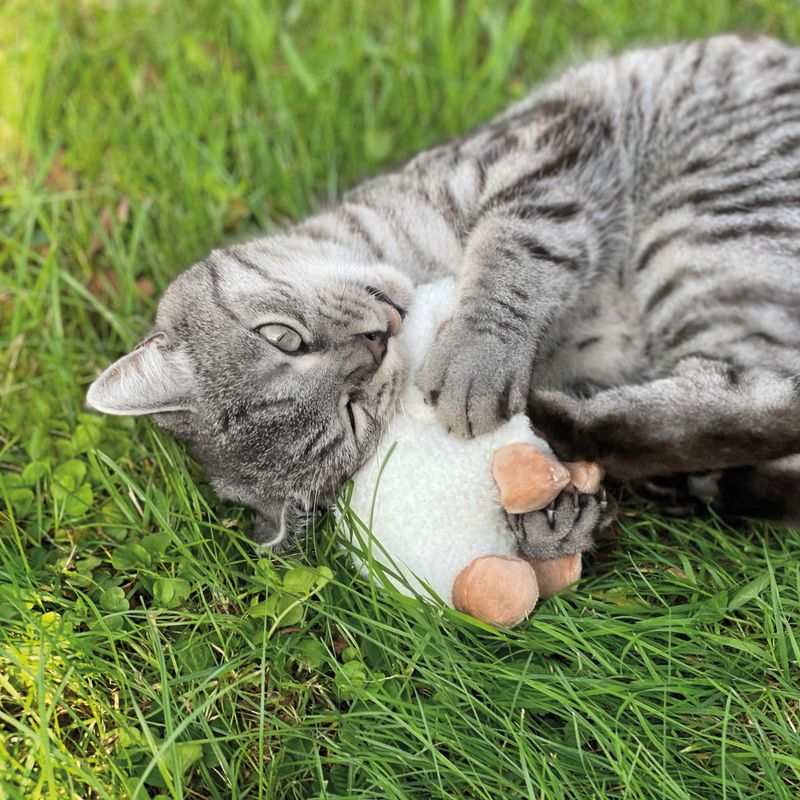 Aumüller Baldrian-Katzenspielkissen Schäfchen Sally