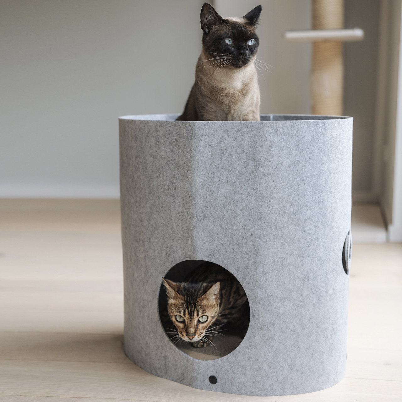 Canadian Cat Company Katzenbetten & Katzensofas Canadian Cat Company Filzbett Owen-Tower